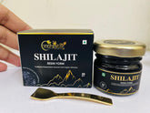 Shilajit Resin Form